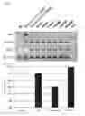 Fig. 24 - IMPROVED NEGATIVE-STRAND RNA VIRAL VECTOR