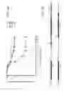 Fig. 04 - Minimal piggyBac vectors for genome integration