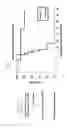 Fig. 02 - Cell for immunotherapy, including modified nucleic acid construct encoding Wilms tumor gene product