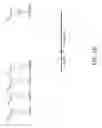 Fig. 11 - CRISPR Oligonucleotides and Gene Editing
