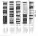 Fig. 13 - CRISPR Oligonucleotides and Gene Editing