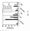 Fig. 21 - CRISPR Oligonucleotides and Gene Editing