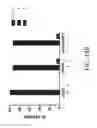 Fig. 33 - CRISPR Oligonucleotides and Gene Editing