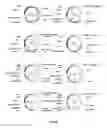 Fig. 11 - THERMOPHILIC MICROORGANISMS FOR CONVERSION OF LIGNOCELLULOSIC BIOMASS TO ETHANOL