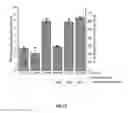 Fig. 14 - THERMOPHILIC MICROORGANISMS FOR CONVERSION OF LIGNOCELLULOSIC BIOMASS TO ETHANOL