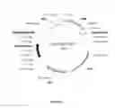Fig. 04 - CELL EXPRESSION SYSTEM