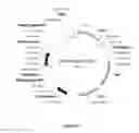 Fig. 06 - CELL EXPRESSION SYSTEM