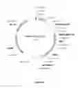 Fig. 08 - CELL EXPRESSION SYSTEM