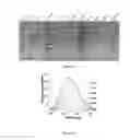 Fig. 09 - Plant based dye for staining of biological samples, extraction method and uses thereof