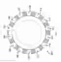 Fig. 05 - IMAGE DIFFERENTIATED MULTIPLEX ASSAYS FOR MULTIPLEX DETECTION OF DNA MUTATIONS
