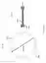 Fig. 09 - IMAGE DIFFERENTIATED MULTIPLEX ASSAYS FOR MULTIPLEX DETECTION OF DNA MUTATIONS