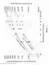 Fig. 19 - Methods and compositions for reducing redundant molecular barcodes created in primer extension reactions