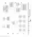 Fig. 02 - COMPOSITIONS AND METHODS FOR GENETIC ANALYSIS OF EMBRYOS
