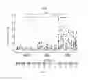 Fig. 07 - Methods for molecularly characterizing cervical cell samples