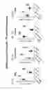 Fig. 10 - Methods and biomarkers for predicting efficacy and evaluation of an OX40 agonist treatment