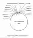 Fig. 04 - PEST CONTROL SYSTEM