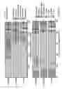 Fig. 08 - PEST CONTROL SYSTEM