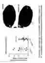 Fig. 09 - PEST CONTROL SYSTEM