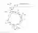 Fig. 02 - BACILLUS AMYLOLIQUEFACIENS RTI301 COMPOSITIONS AND METHODS OF USE FOR BENEFITING PLANT GROWTH AND TREATING PLANT DISEASE