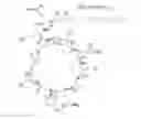 Fig. 03 - BACILLUS AMYLOLIQUEFACIENS RTI301 COMPOSITIONS AND METHODS OF USE FOR BENEFITING PLANT GROWTH AND TREATING PLANT DISEASE