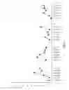 Fig. 08 - BACILLUS AMYLOLIQUEFACIENS RTI301 COMPOSITIONS AND METHODS OF USE FOR BENEFITING PLANT GROWTH AND TREATING PLANT DISEASE