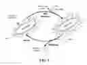 Fig. 07 - Engineered microbes for rare earth element adsorption