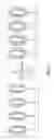 Fig. 14 - Engineered microbes for rare earth element adsorption