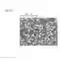 Fig. 03 - CAST MATERIAL AND METHOD OF MANUFACTURING CAST MATERIAL
