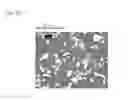 Fig. 06 - CAST MATERIAL AND METHOD OF MANUFACTURING CAST MATERIAL