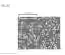 Fig. 07 - CAST MATERIAL AND METHOD OF MANUFACTURING CAST MATERIAL