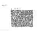 Fig. 09 - CAST MATERIAL AND METHOD OF MANUFACTURING CAST MATERIAL