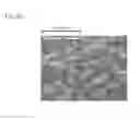 Fig. 11 - CAST MATERIAL AND METHOD OF MANUFACTURING CAST MATERIAL