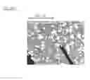 Fig. 15 - CAST MATERIAL AND METHOD OF MANUFACTURING CAST MATERIAL