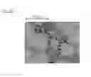 Fig. 17 - CAST MATERIAL AND METHOD OF MANUFACTURING CAST MATERIAL