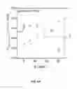Fig. 07 - Scalable photoreactor for hydrogen production