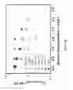Fig. 20 - Scalable photoreactor for hydrogen production