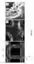 Fig. 13 - Tunable Thin Liquid/Gas Diffusion Layers for Electrolyzers
