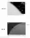 Fig. 05 - PROTECTIVE OXIDE COATING WITH REDUCED METAL CONCENTRATIONS