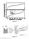 Fig. 06 - NANOSTRUCTURED ELECTRODES AND METHODS FOR THE FABRICATION AND USE
