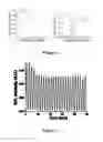 Fig. 07 - NANOSTRUCTURED ELECTRODES AND METHODS FOR THE FABRICATION AND USE