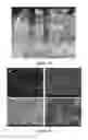 Fig. 09 - NANOSTRUCTURED ELECTRODES AND METHODS FOR THE FABRICATION AND USE