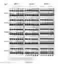 Fig. 32 - PROCESS FOR MAKING AN IRIDIUM LAYER