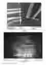 Fig. 08 - Network of nanostructures as grown on a substrate