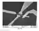 Fig. 09 - Network of nanostructures as grown on a substrate