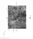 Fig. 02 - Method for making a composite material
