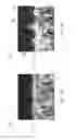 Fig. 07 - Method for making a composite material