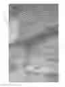 Fig. 06 - Method and apparatus for producing three-dimensional topographic acoustic panels