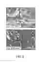 Fig. 09 - Perforating gun rapid fluid inrush prevention device