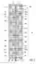 Fig. 03 - Electrical submersible pumping system with separator
