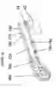Fig. 03 - High wall mining cutting head and support